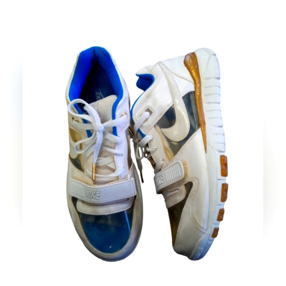 Rare 2007 Olympic trainer dunk low Nd